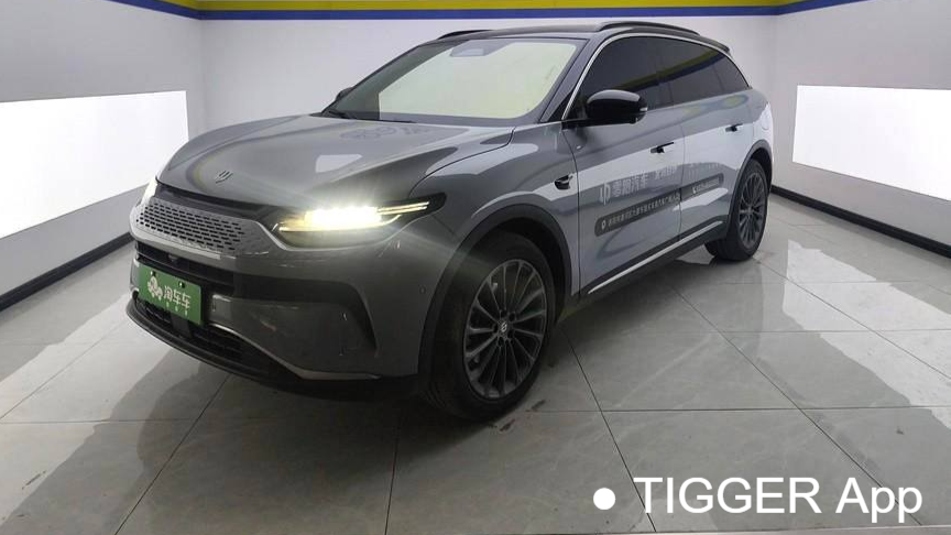 LEAP 2024 C11 Extended Range 300 Premium Edition