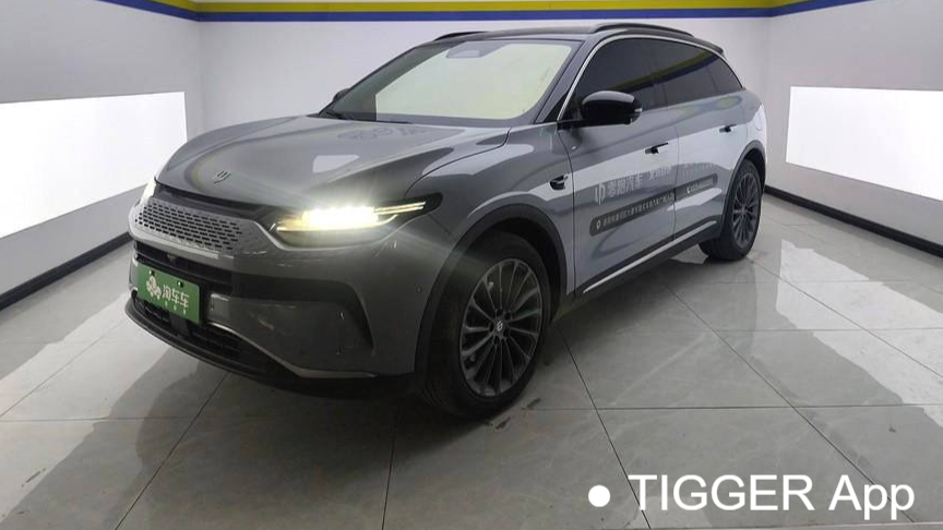 LEAP 2024 C11 Extended Range 300 Premium Edition