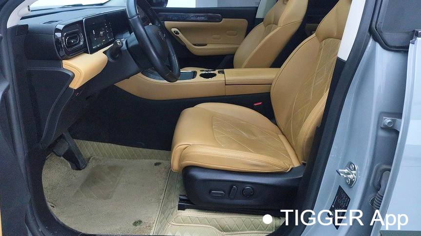 LEAP 2024 C11 Extended Range 300 Premium Edition