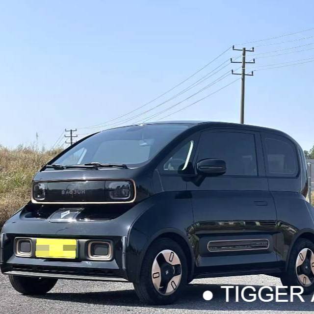 BAOJUN 2022 KiWi EV Designer's lightweight version of ternary lithium 二手车