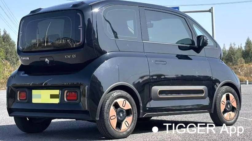 BAOJUN 2022 KiWi EV Designer's lightweight version of ternary lithium