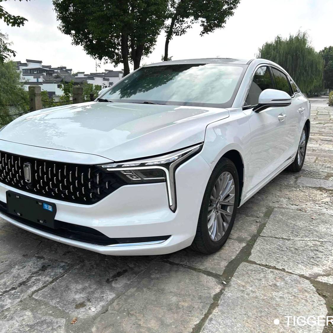 BESTUNE 2025 B70 Dragon Glory 1.5T Enjoyment Edition Used Car