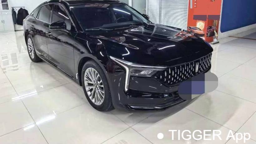 BESTUNE 2024 B70 Longteng 1.5T Leading Leap Type