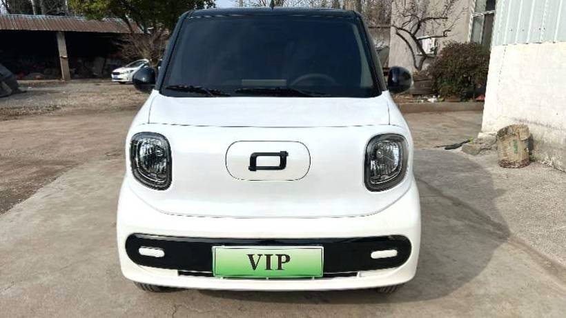 BESTUNE 2025 Penteng Pony 222km Linglong Horse