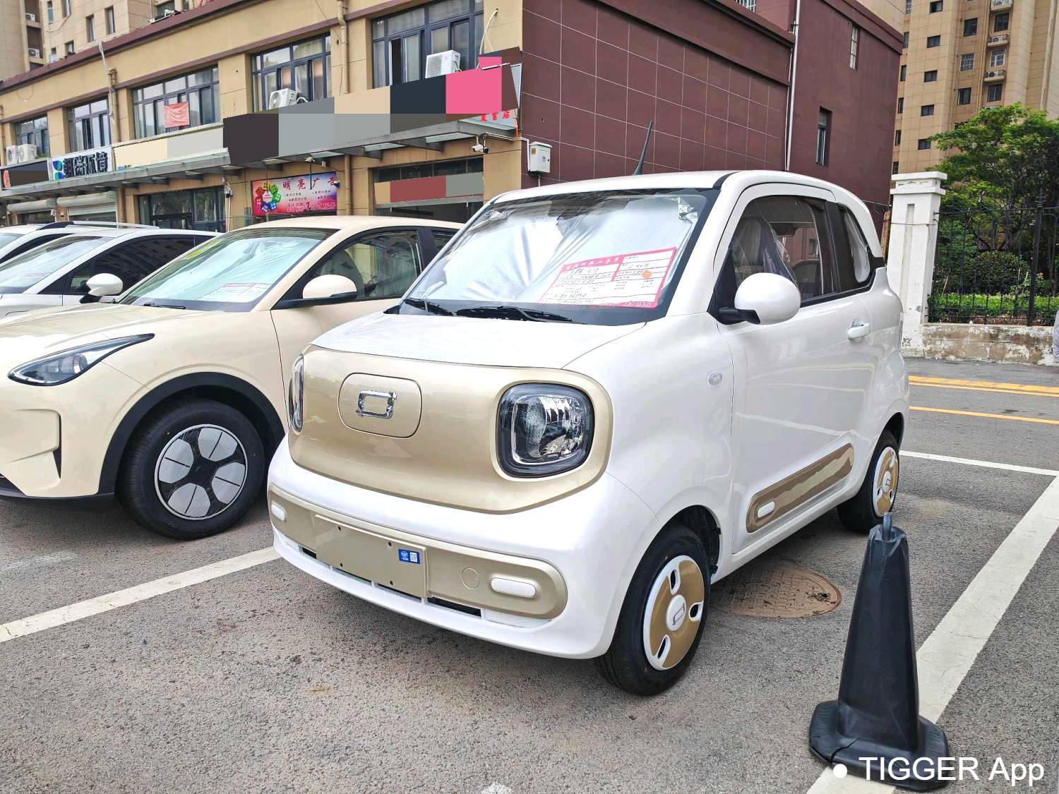 BESTUNE 2026 Penteng Pony 222km Sparkling Horse