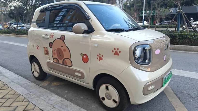 BESTUNE 2026 Penteng Pony 222km Glorious Horse