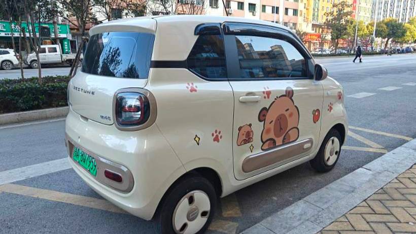 BESTUNE 2026 Penteng Pony 222km Glorious Horse