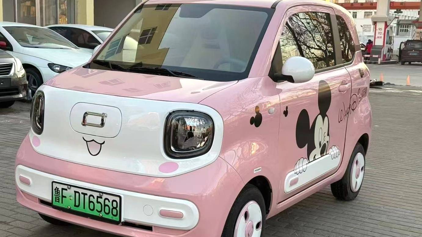 BESTUNE 2025 Penteng Pony 222km agile horse