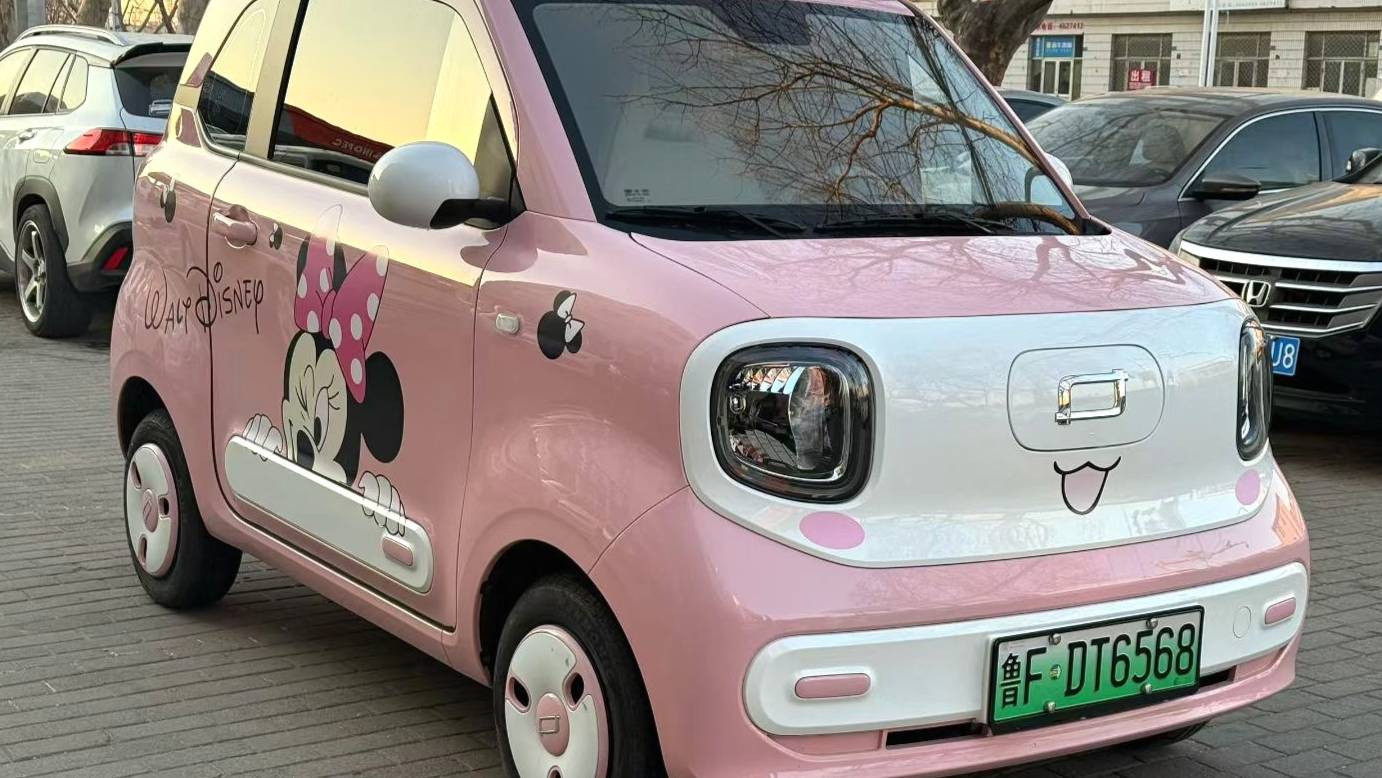 BESTUNE 2025 Penteng Pony 222km agile horse