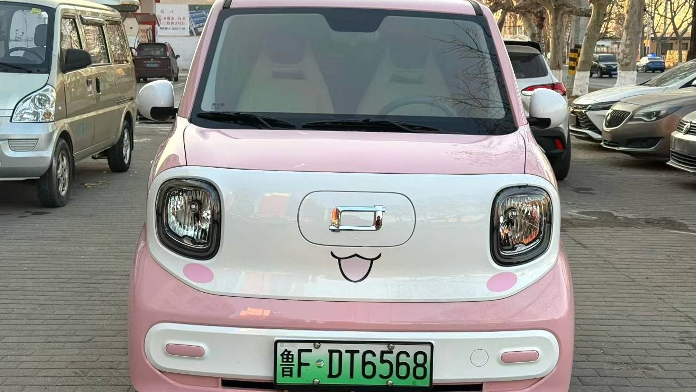 BESTUNE 2025 Penteng Pony 222km agile horse