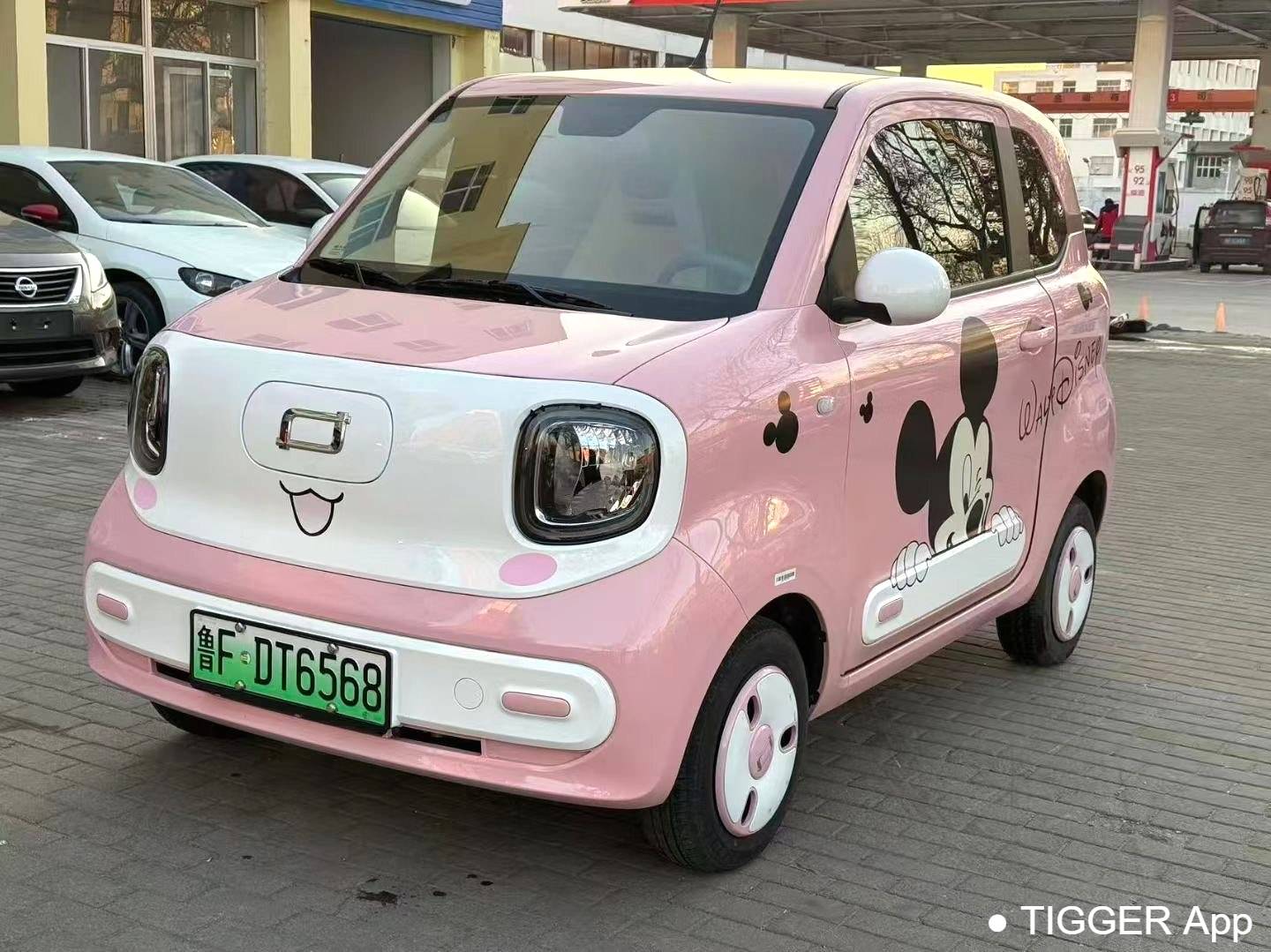 BESTUNE 2025 Penteng Pony 222km agile horse