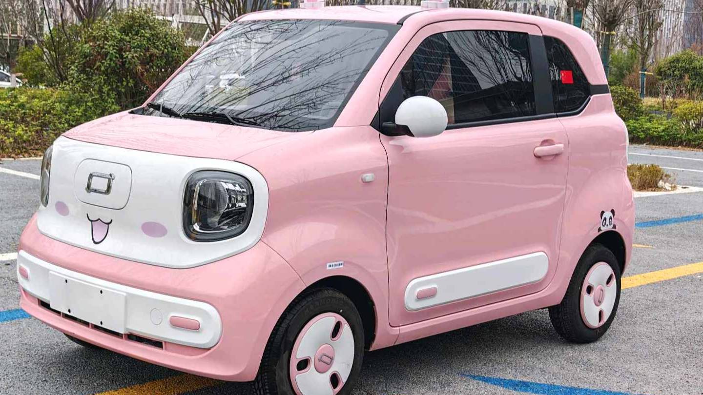 BESTUNE 2024 Penteng Pony 170km Vitality Horse