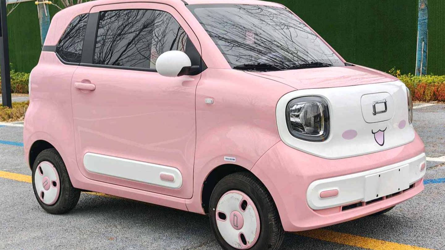 BESTUNE 2024 Penteng Pony 170km Vitality Horse