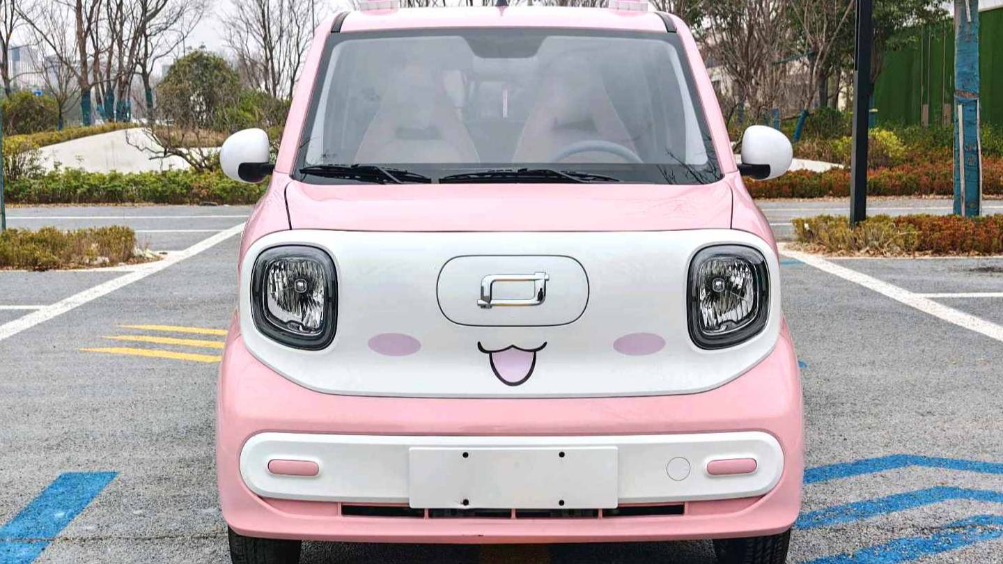 BESTUNE 2024 Penteng Pony 170km Vitality Horse