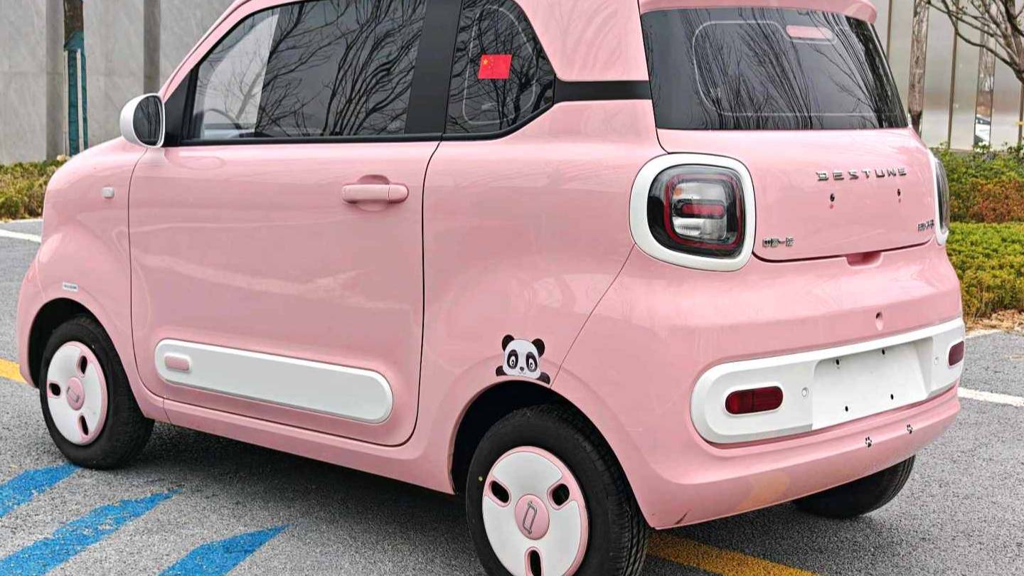 BESTUNE 2024 Penteng Pony 170km Vitality Horse