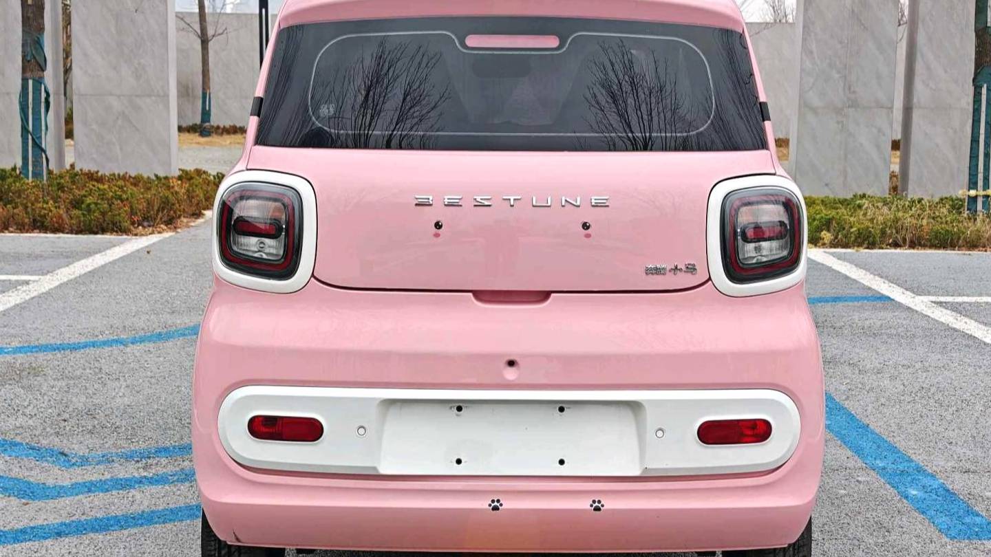 BESTUNE 2024 Penteng Pony 170km Vitality Horse