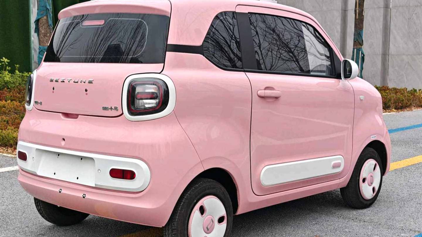 BESTUNE 2024 Penteng Pony 170km Vitality Horse