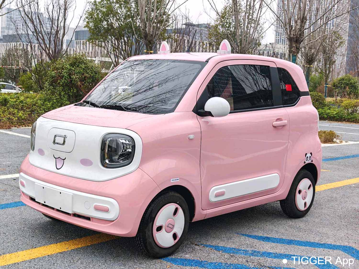 BESTUNE 2024 Penteng Pony 170km Vitality Horse