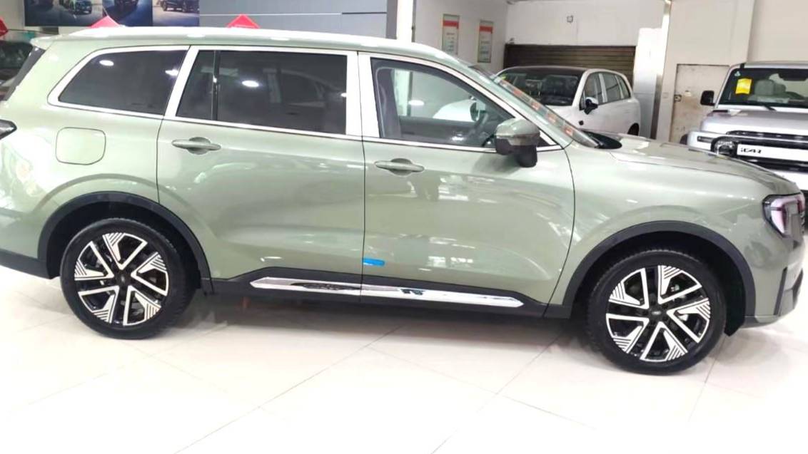 Ford 2025 Equator Respectful collar type