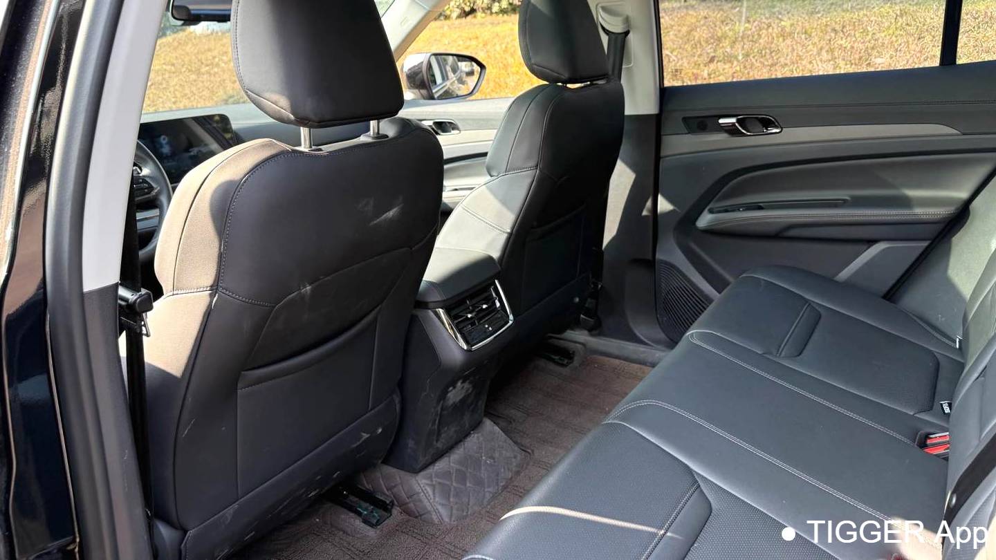 Ford 2023 Territory EcoBoost 170 Platinum Collar Type