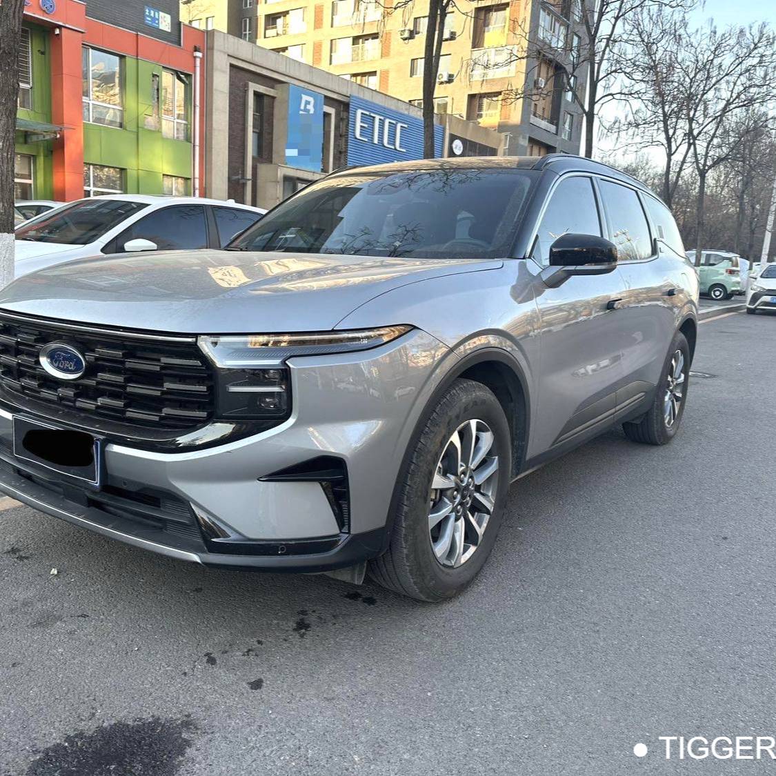 Ford 2025 Edge  Ruijie L 2.0T EcoBoost two wheel drive seven seater luxury model سيارة مستعملة