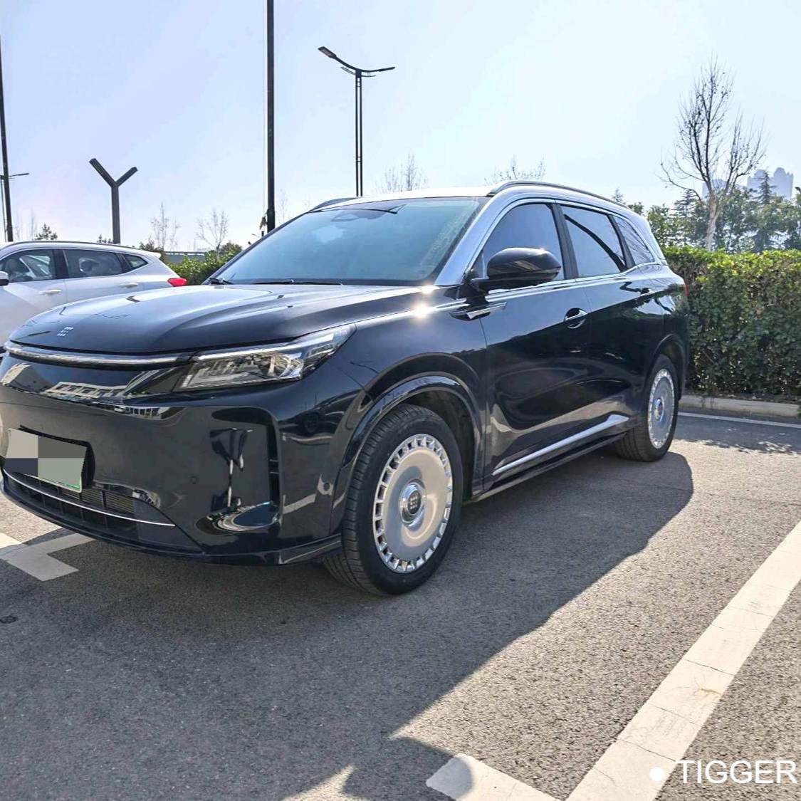 LanDian 2026 E5 PLUS Standard Range 4WD Performance Edition Ultra Used Car