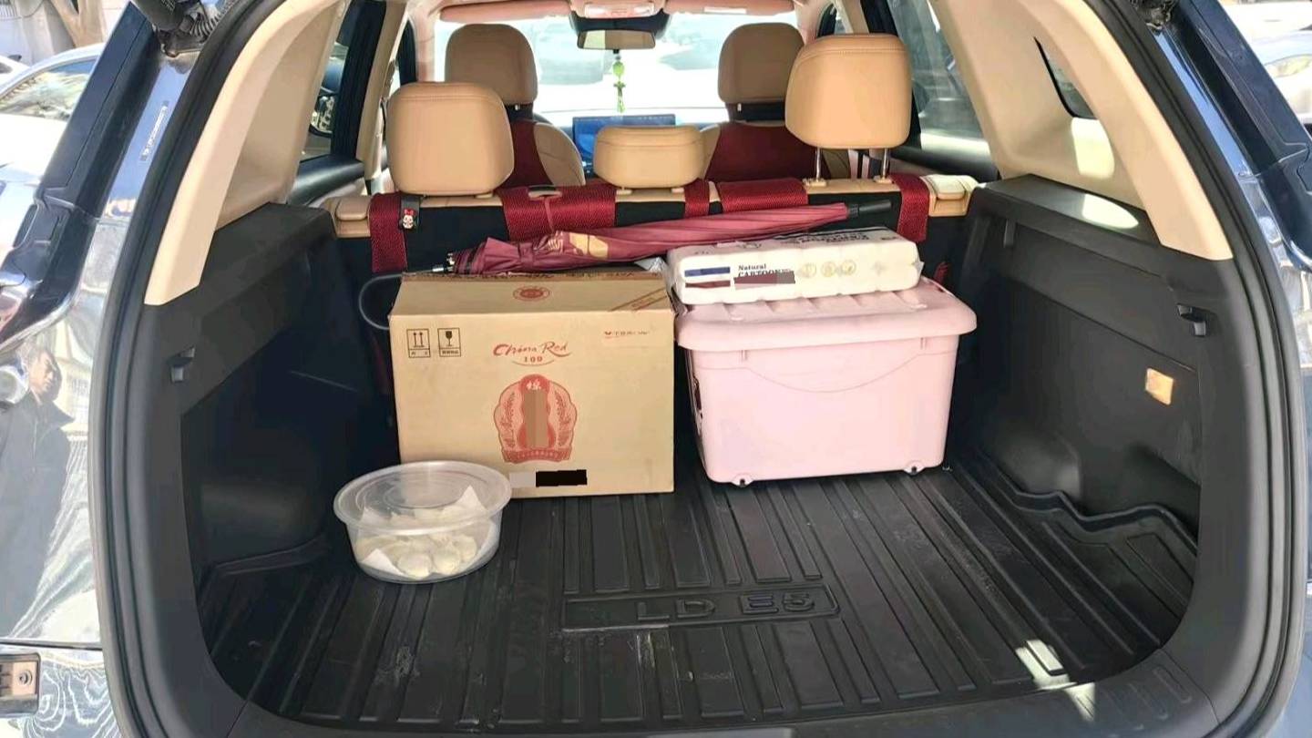 LanDian 2025 E5 PLUS 165km Long Range PLUS 5-seater