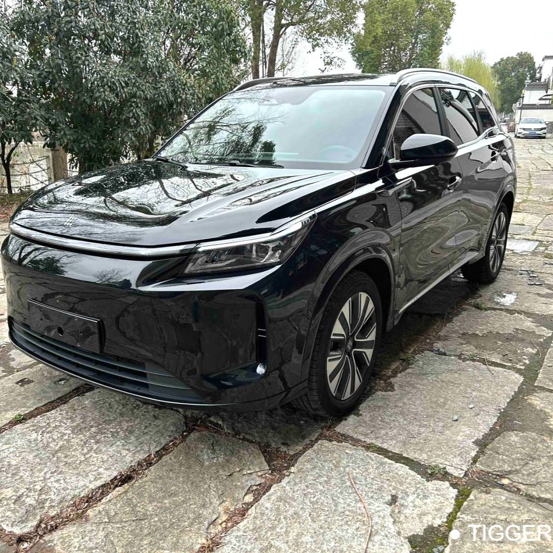 LanDian 2025 E5 PLUS 165km Long Range Flagship Edition 5-seater Used Car