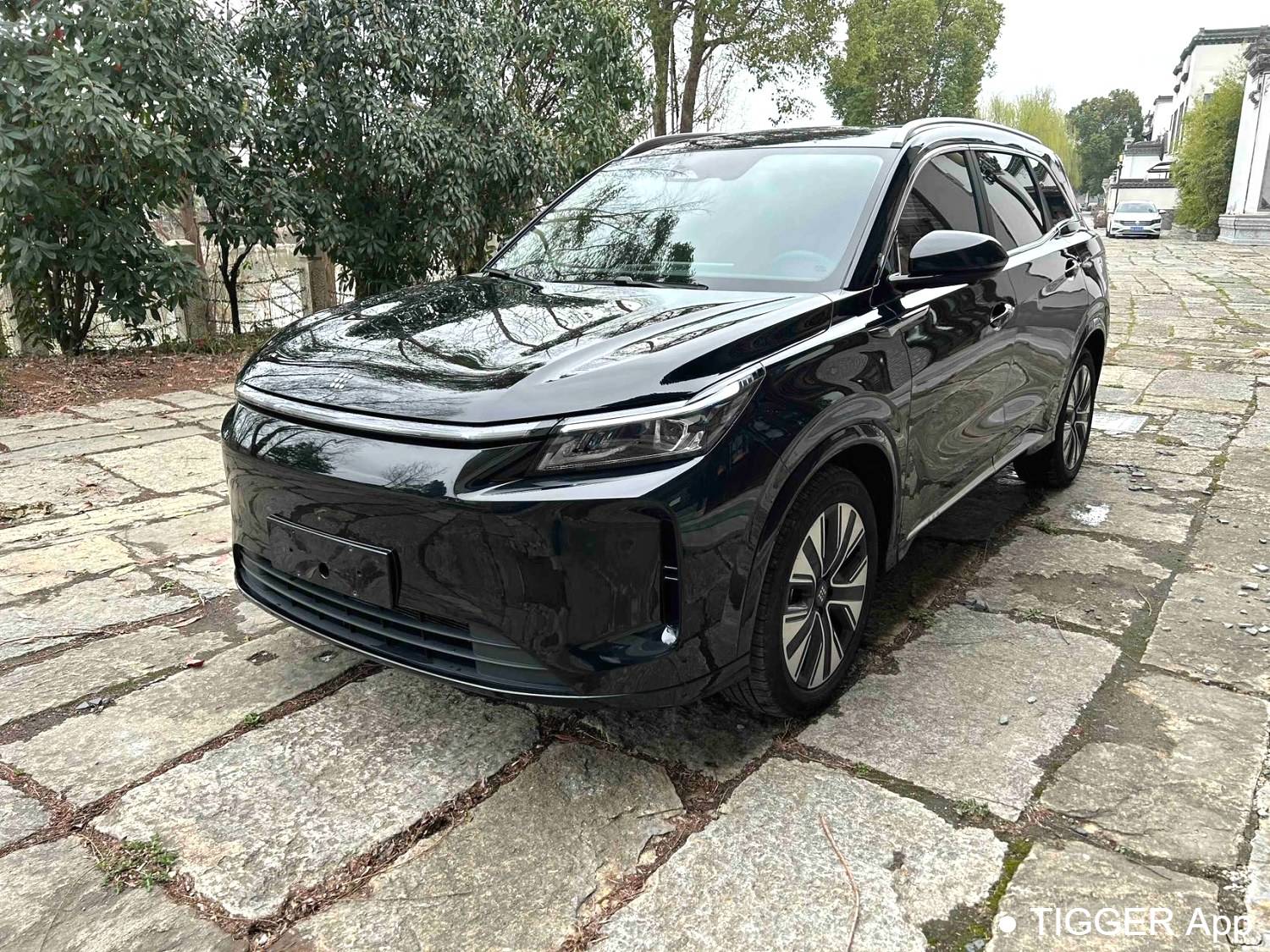 LanDian 2025 E5 PLUS 165km Long Range Flagship Edition 5-seater