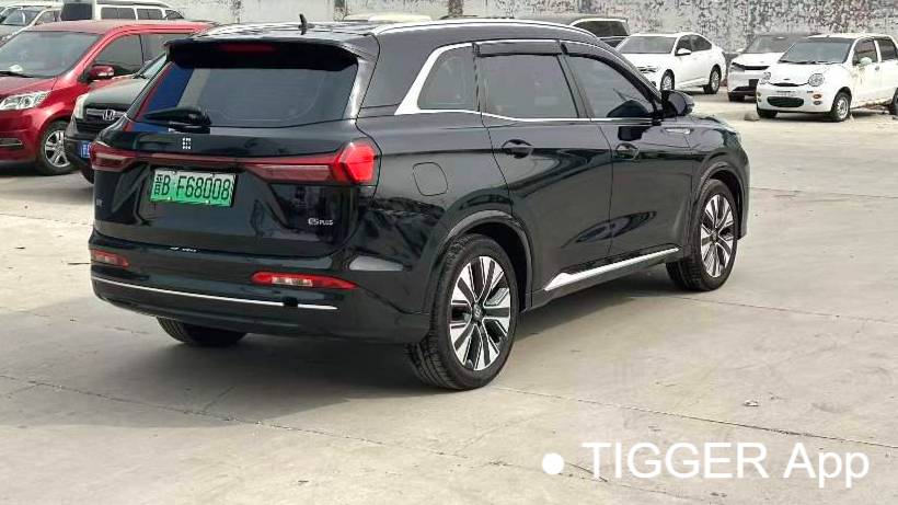 LanDian 2025 E5 PLUS 165km Long Range Travel Comfort Edition 7-seater