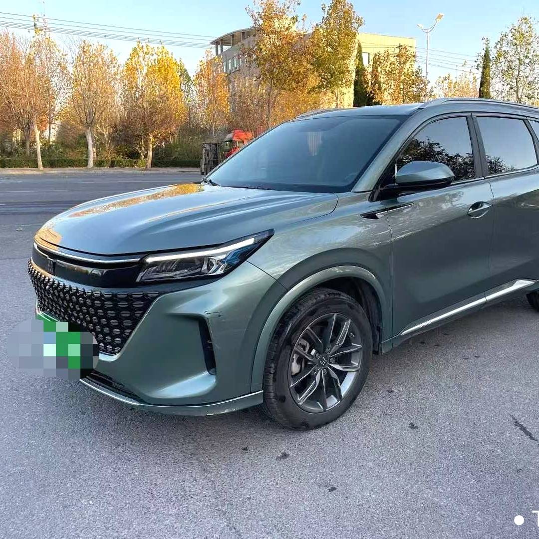 LanDian 2024 E5 Honor Edition 100KM Enjoyable 7-seater Used Car