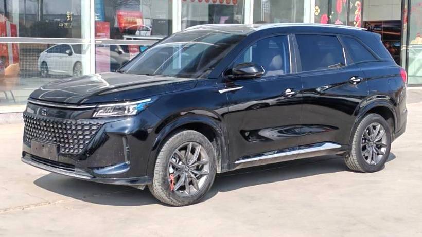 LanDian 2024 E5 Honor Edition 100KM Premium 7-seater