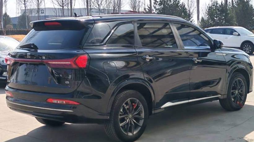 LanDian 2024 E5 Honor Edition 100KM Premium 7-seater