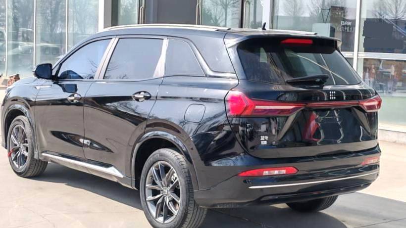 LanDian 2024 E5 Honor Edition 100KM Premium 7-seater