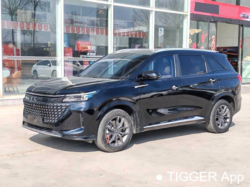 LanDian 2024 E5 Honor Edition 100KM Premium 7-seater