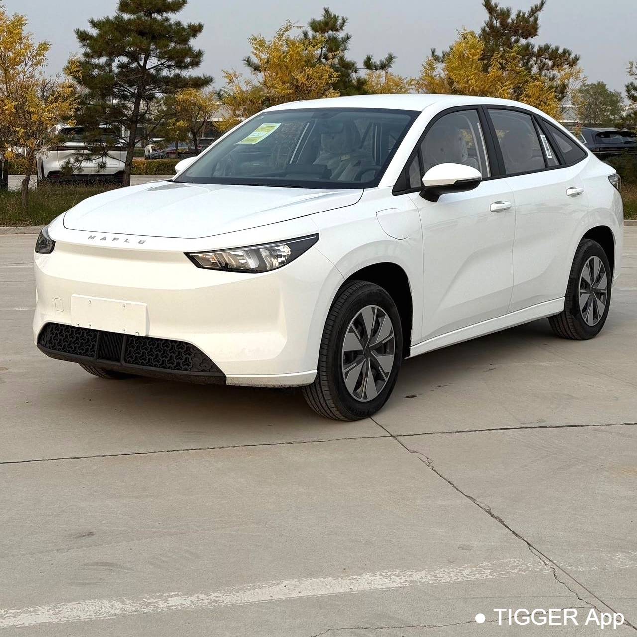 CAOCAO‌ 2023 60 60 Asian Games Champion Edition Used Car