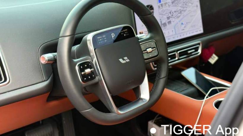 Li Auto 2025 L6 Max Intelligent Renewal Version