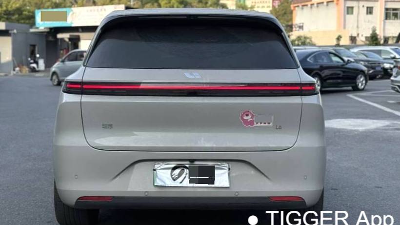 Li Auto 2025 L6 Max Intelligent Renewal Version