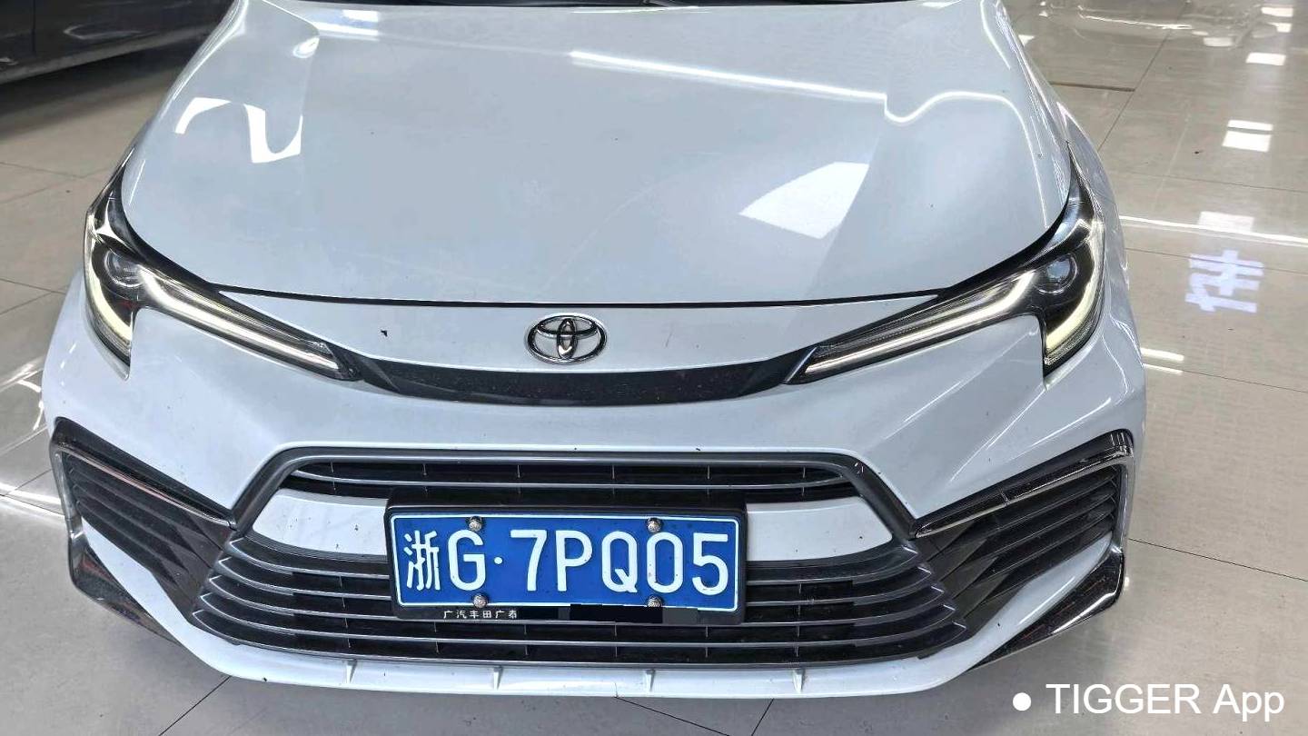 Toyota 2023 LEVIN(凌尚) 2.0L Luxury Edition