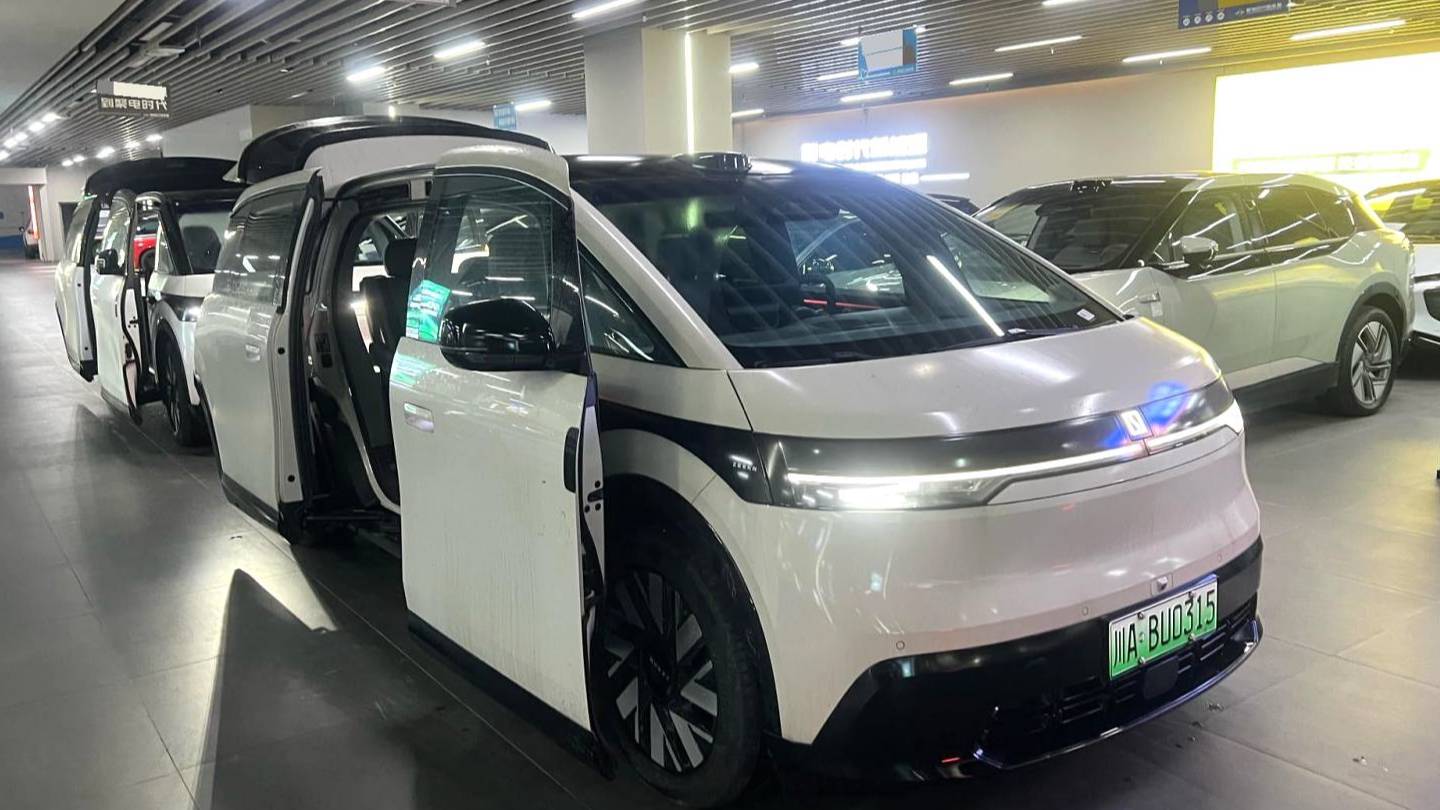 ZEEKR 2025 MIX Long range intelligent driving version