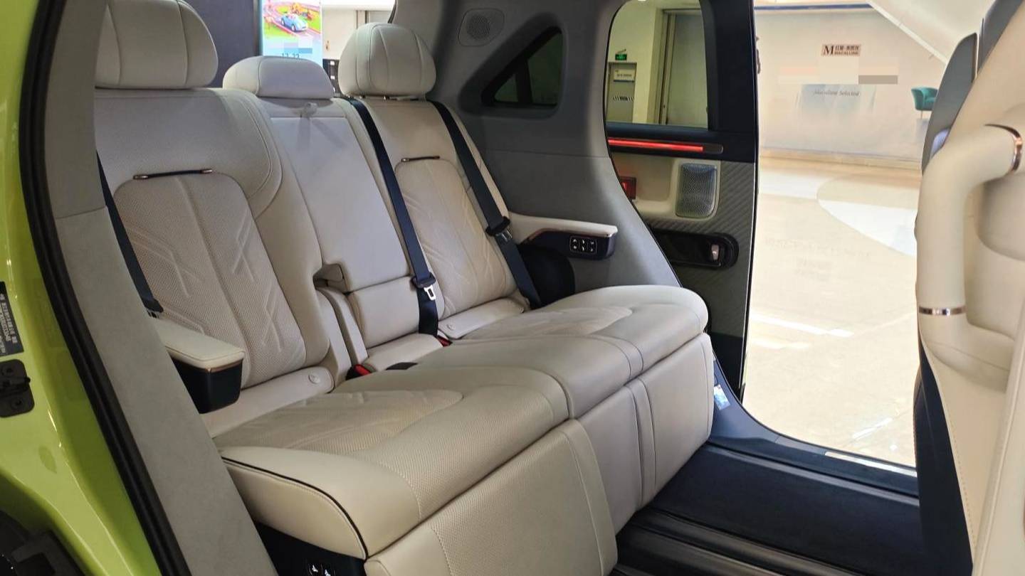 ZEEKR 2025 MIX Long range intelligent driving version