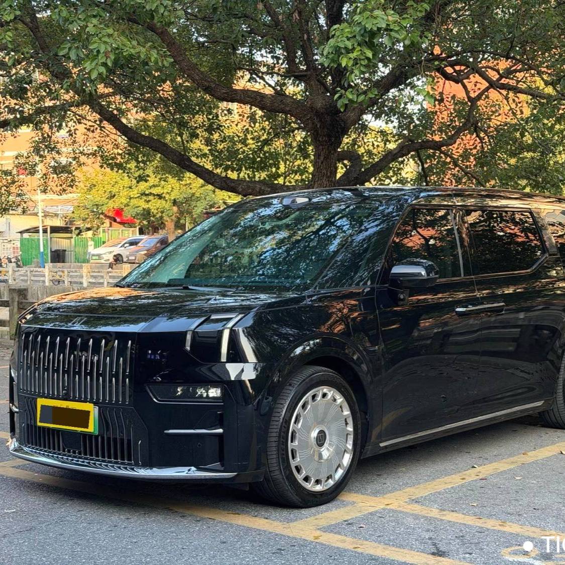 ZEEKR 2024 009 brilliance Used Car