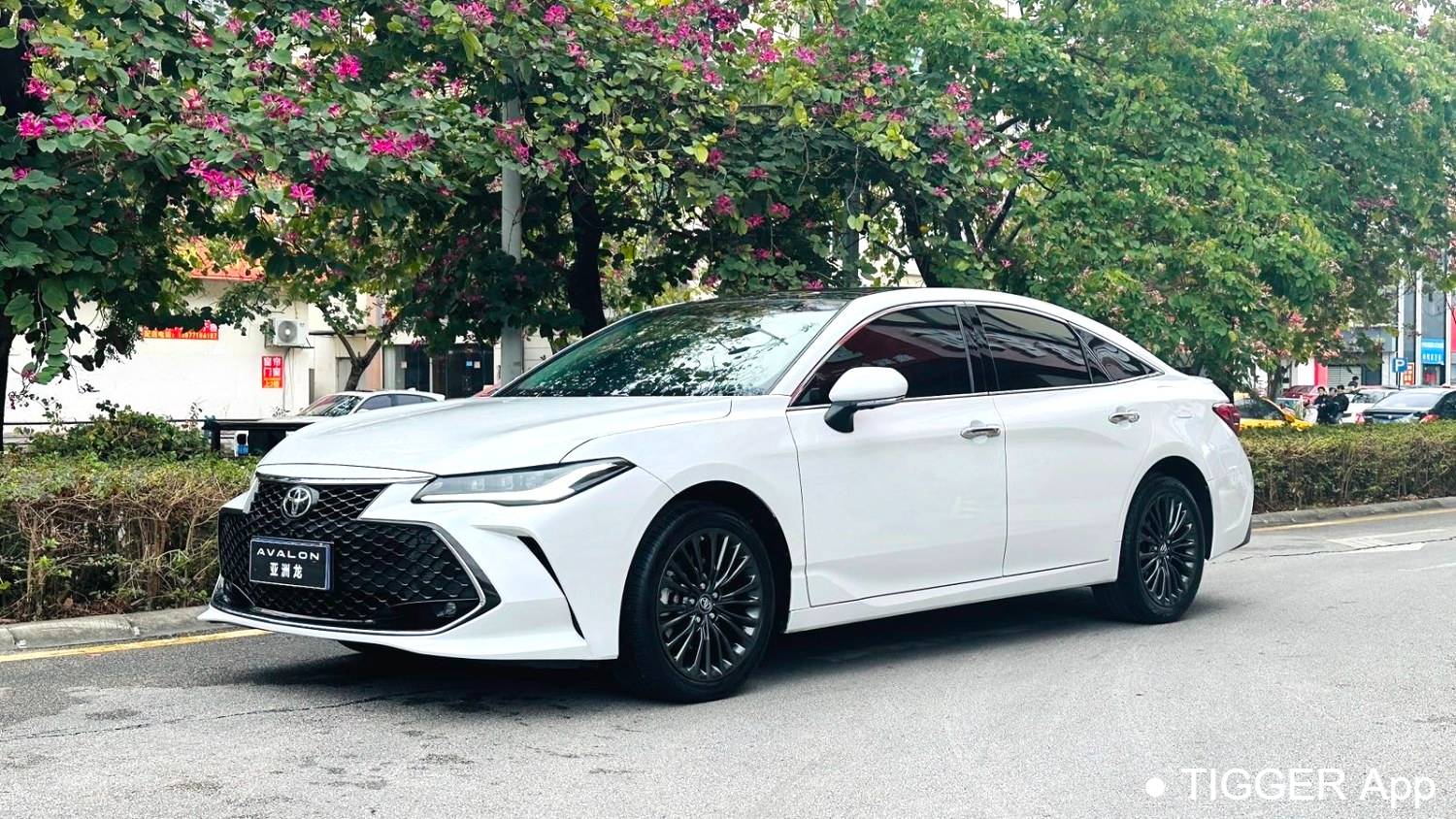 used Toyota 2022 Avalon 2.5L Touring Premium Edition