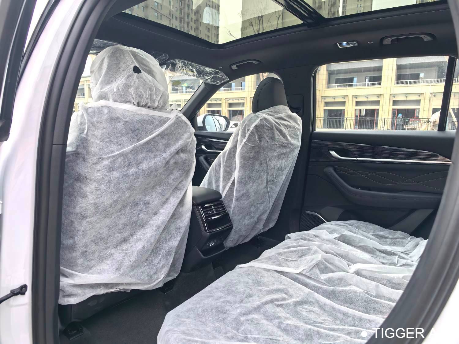 Geely 2024 Monjaro 2.0TD DCT EVO two wheel drive long wind version