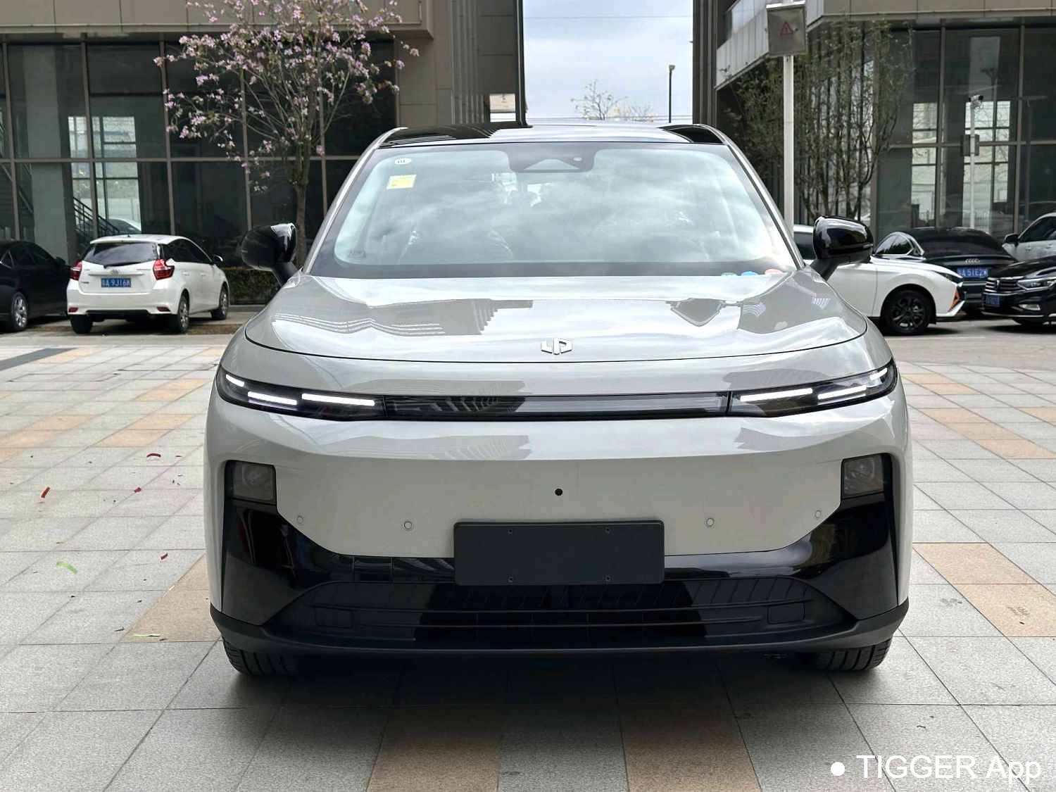 LEAP 2025 B10 600 Joyful Edition