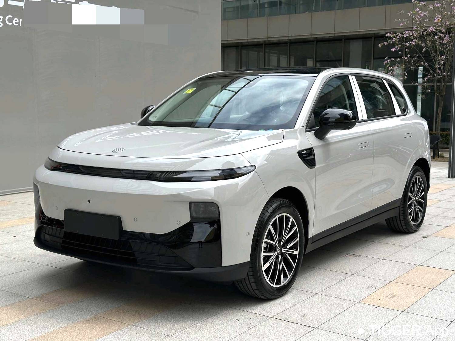 LEAP 2025 B10 600 Joyful Edition