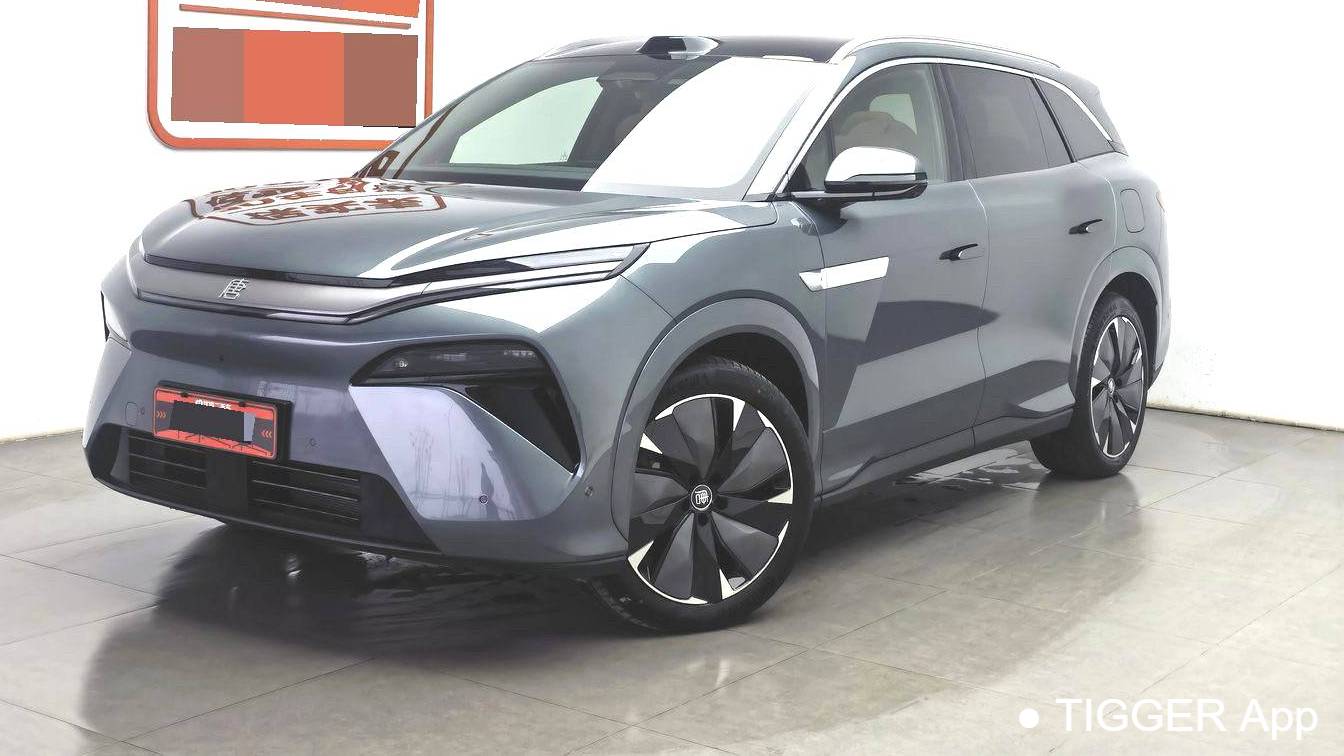 BYD 2025 TANG L EV 600KM four-wheel drive LiDAR flagship model
