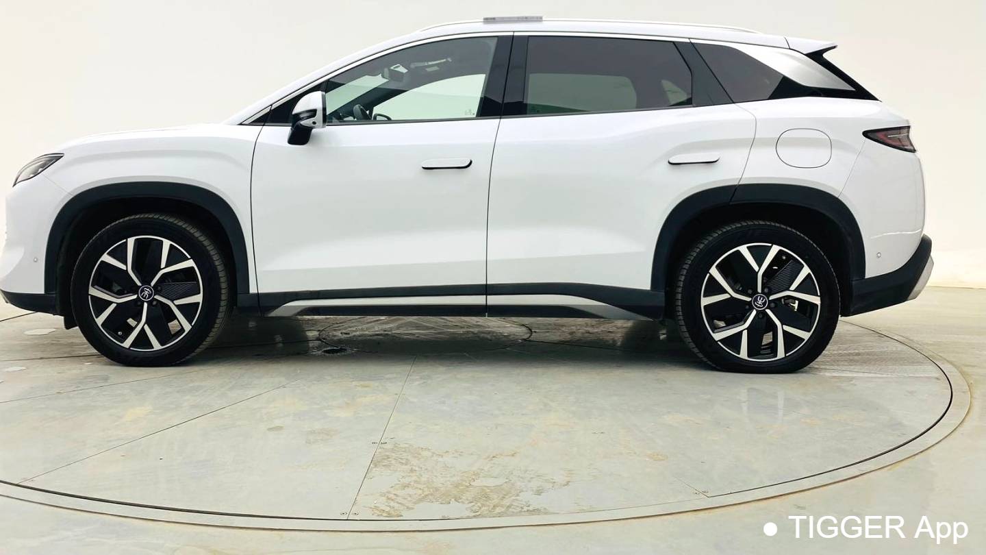 BYD 2024 SONG L DM-i 160km Excellence Type