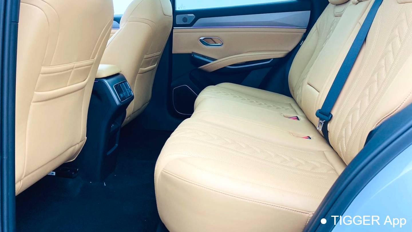 BYD 2024 SONG L DM-i 160km Excellence Type