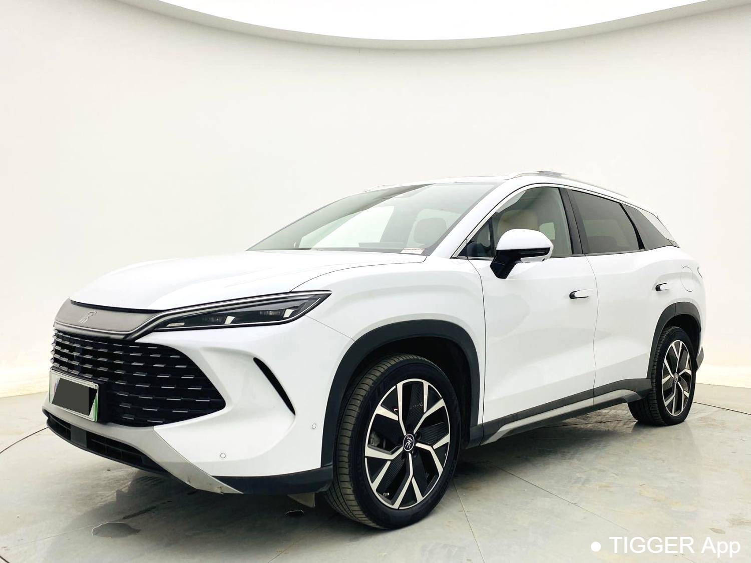 BYD 2024 SONG L DM-i 160km Excellence Type